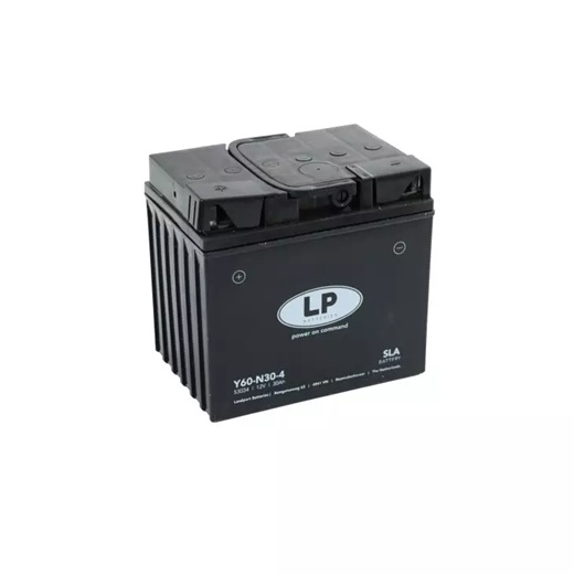 Batterie 12 V-30Ah 'wartungsfrei'
