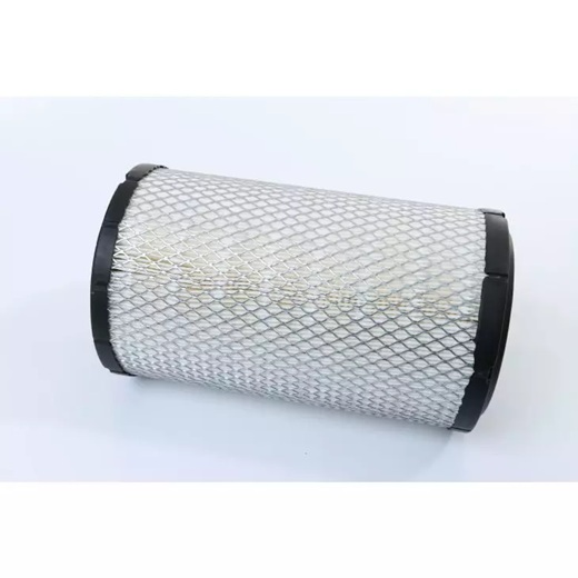Luftfilter für BAUDOUIN Dieselmotor