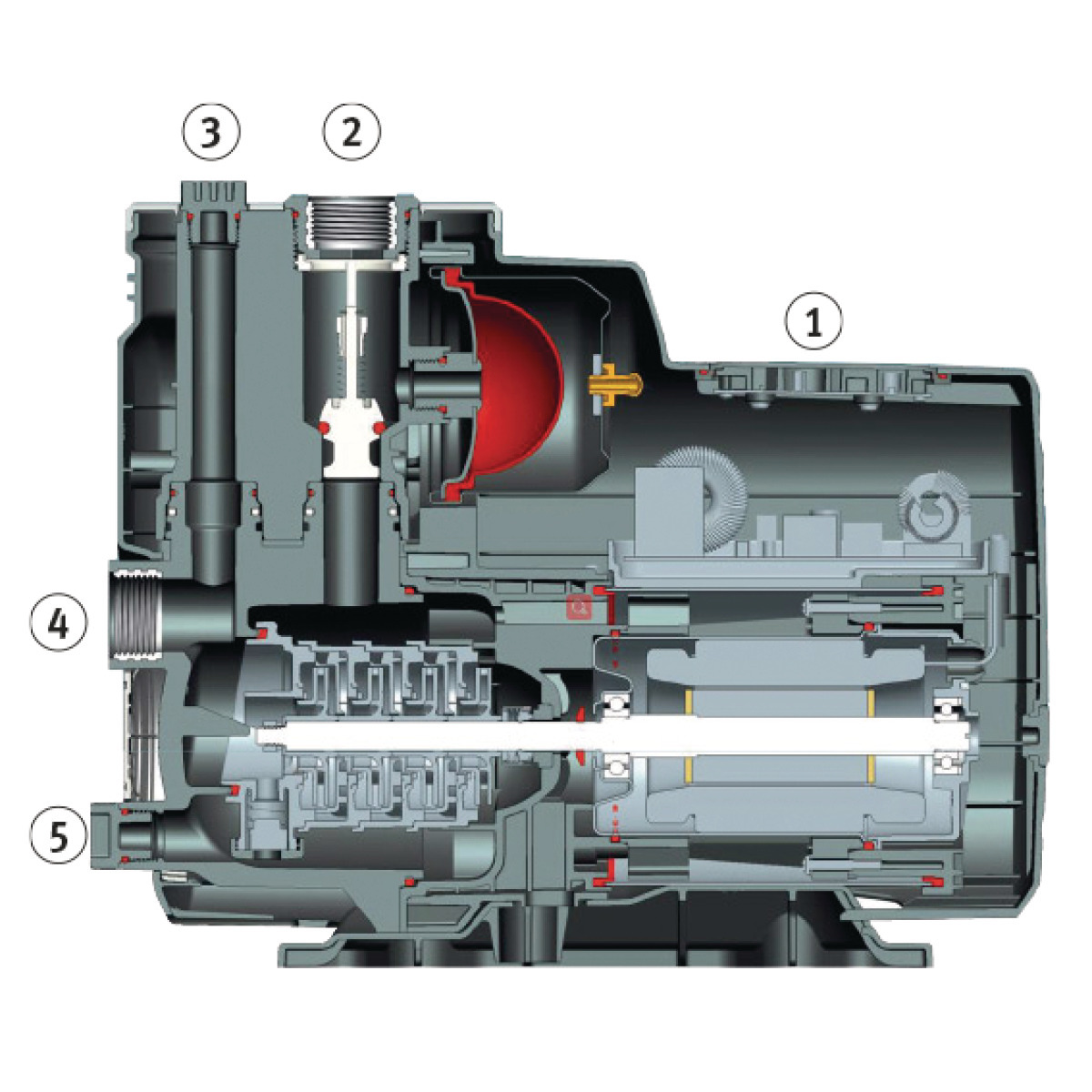Haus- und Gartenpumpe GPI 5548 Querschnitt der Hauswasserpumpe mit nummerierten Bauteilen und sichtbarem Innenaufbau.
