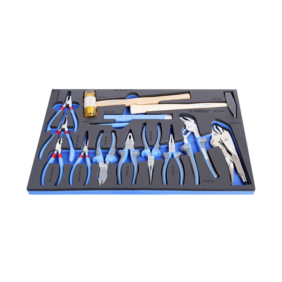 Schaumeinlage mit Zangen-Set: Seegerringzangen, Kombi-/Spitzzange, Wasserpumpen- und Gripzange sowie Schonhammer und Meißel.