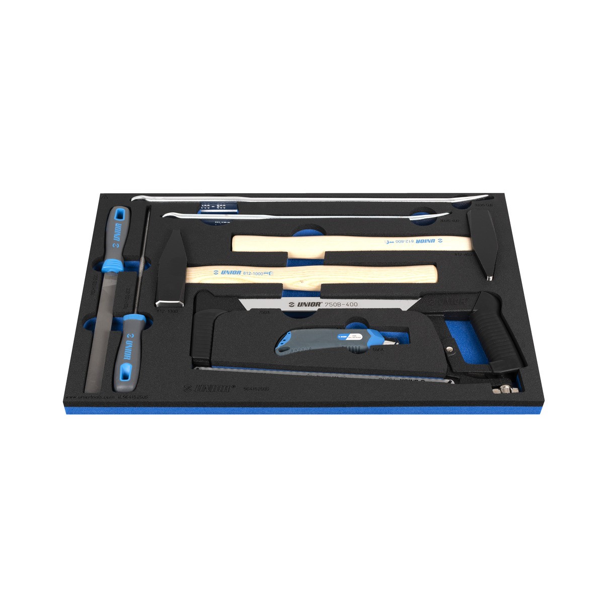 Schaumeinlage mit Bügelsäge, zwei Feilen mit blauem Griff, zwei Hebeleisen, Durchschlag und zwei Hämmern mit Holzgriff.